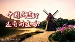 中國式監理，還有前途嗎？